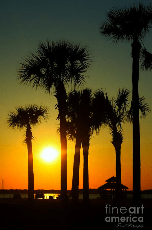 Sunset Over West Bay