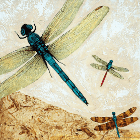 Zen Flight - Dragonfly Art By Sharon Cummings