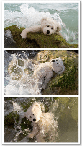  Surviving Life's Waves