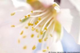 1745_391983617567248_530740949_n