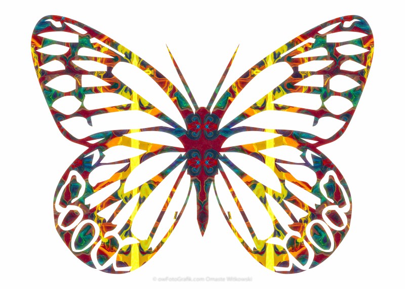 Cosmic Butterfly Abstract Pattern Artwork