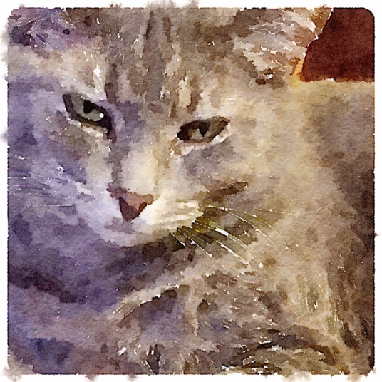 Miranda Watercolor 2