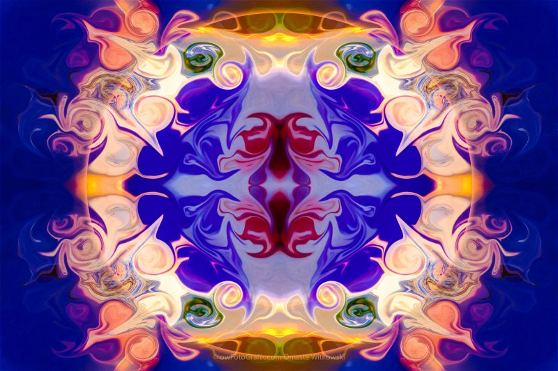 The Circle of Life Abstract Mandala Artwork by Omaste Witkowski