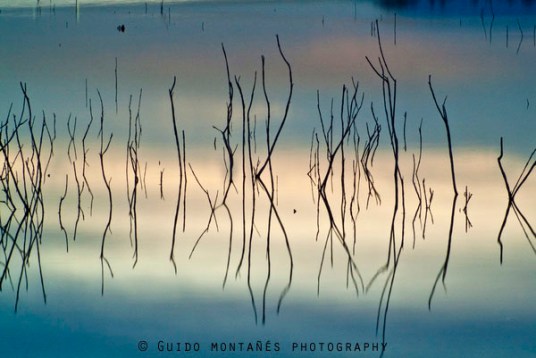 10359225_11620993_lz