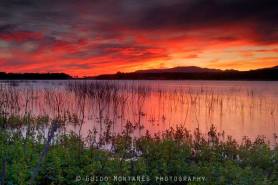 1958272_550163548415920_1376075694_n