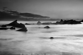 _DSC1110-bn-clara-04-viñete