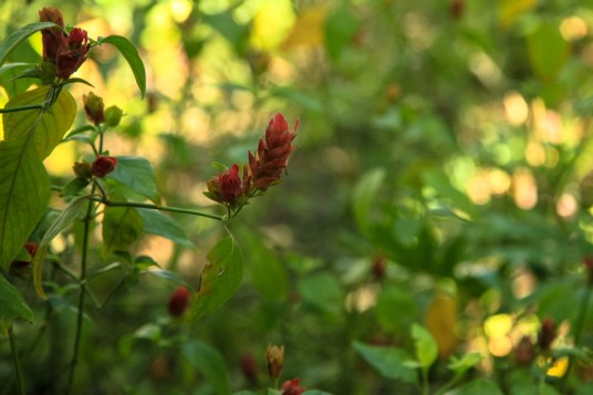 2014_03_18_9999_37-2