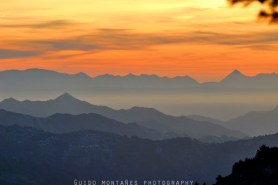 11305674_11383694_lz