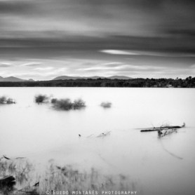 11547528_12765729_lz