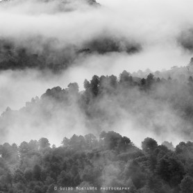 _DSC2475-cuadrada-amplinx-bn