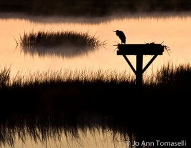 WHAT ARE YOU  A.I.M.I.N.G.  FOR?