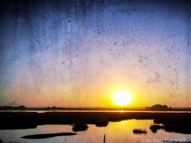 POETRY in M-O-T-I-O-N