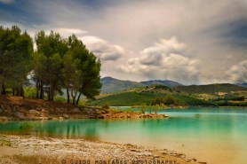 12346922_12280336_lz