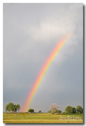 Chasing Rainbows Art Print