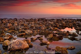 12370865_13605258_lz