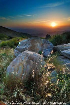 1380362_468884133210529_1945175991_n