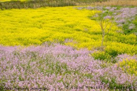 6717_373001889465421_1459258551_n