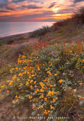 13117472_12046019_lz