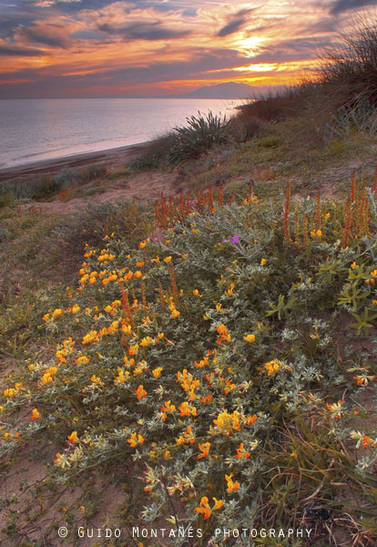 13117472_12046019_lz