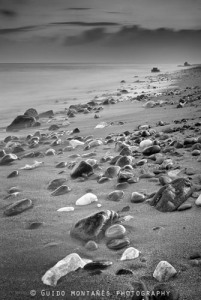 13369830_11424327_lz