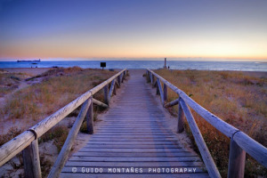 13413366_16527067_lz