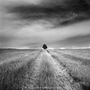 1795707_619336988165242_8118423179792162509_n