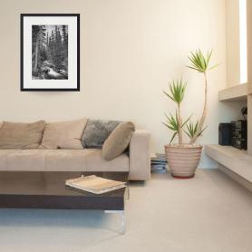 Colorado-Rocky-Mountain-Flowing-Stream-BW_art