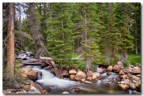 Colorado Rocky Mountain Forest Stream Art Print