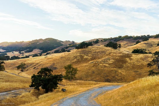 Golden California Hills Photograph