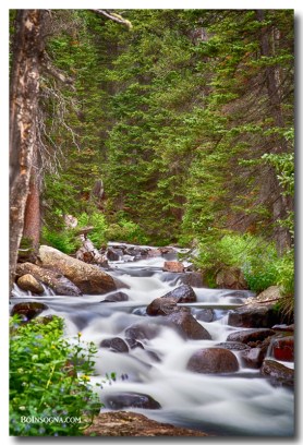 Mountain Stream Photography Prints