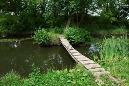 "People Are Lonely Because They Build Walls Not Bridges" Thanks to Alan Markovich for the image.