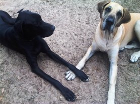 404187_2228808098692_1028605626_n