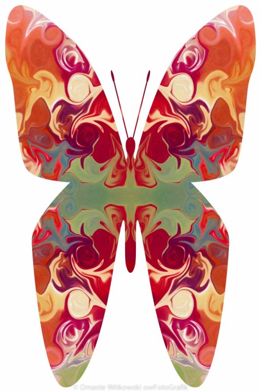 Brilliant Butterfly Wings Abstract Garden Art By Omaste Witkowski owFotoGrafik.com