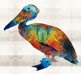 ColorfulPelicanFB