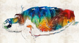 ColorfulSeaTurtleFB