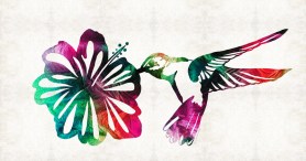 HummingColorFB