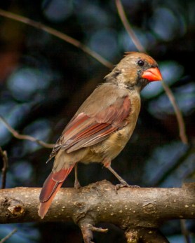 IMG_7670-Edit (1024x1280)