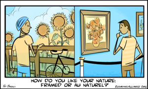 Nature-art-EcoMyths-cartoon-web