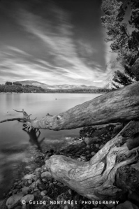 14519130_16725121_lz