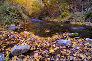 14765985_16338595_lz