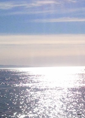 Never take for granted what appears to be your anchor. Madeleine Pujals Maya