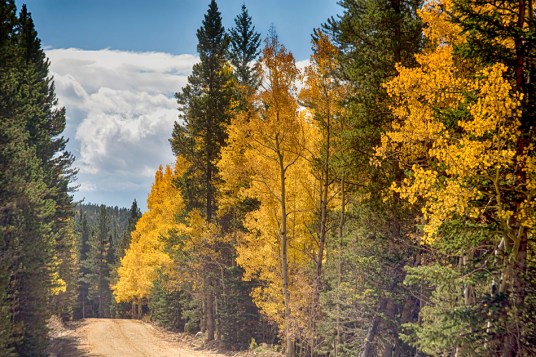 Back Road To Autumn Print