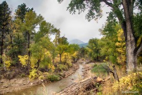 Canyon Gazing Metal Print