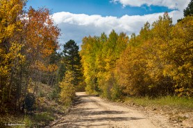 Colorado Autumn High Elevation Rocky Mountain 4 Wheeling Dirt Ro