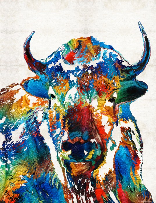 ColorfulBuffaloFB