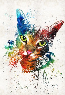 ColorfulCatFB