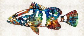 ColorfulGrouper2FB