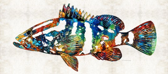 ColorfulGrouper2FB