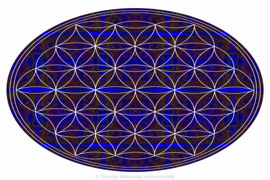 Flower Of Life Abstract Chakra Art by Omaste Witkowski owFotoGrafik.com
