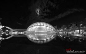 Monochrome Monday the eye